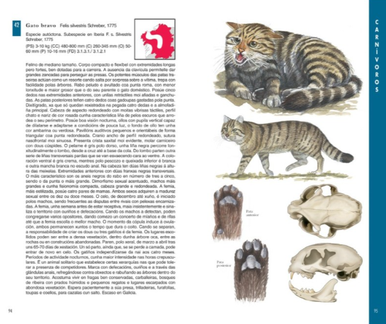 Exemplo ficha Guía dos mamíferos de Galicia