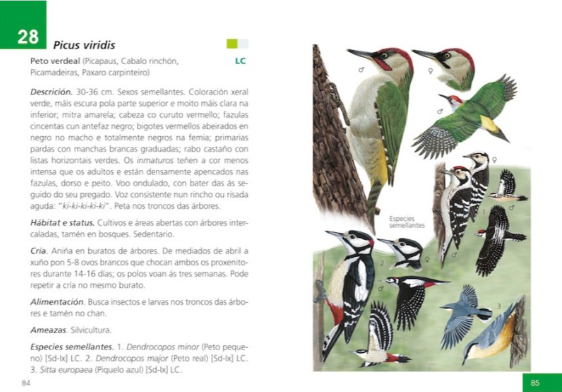 Exemplo ficha guía Aves