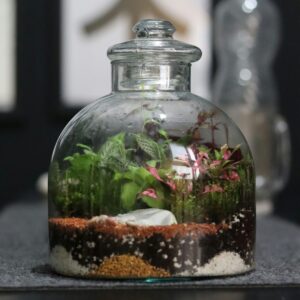 Obradoiro "Ecosistemas en miniatura: crea a túa ecosfera"