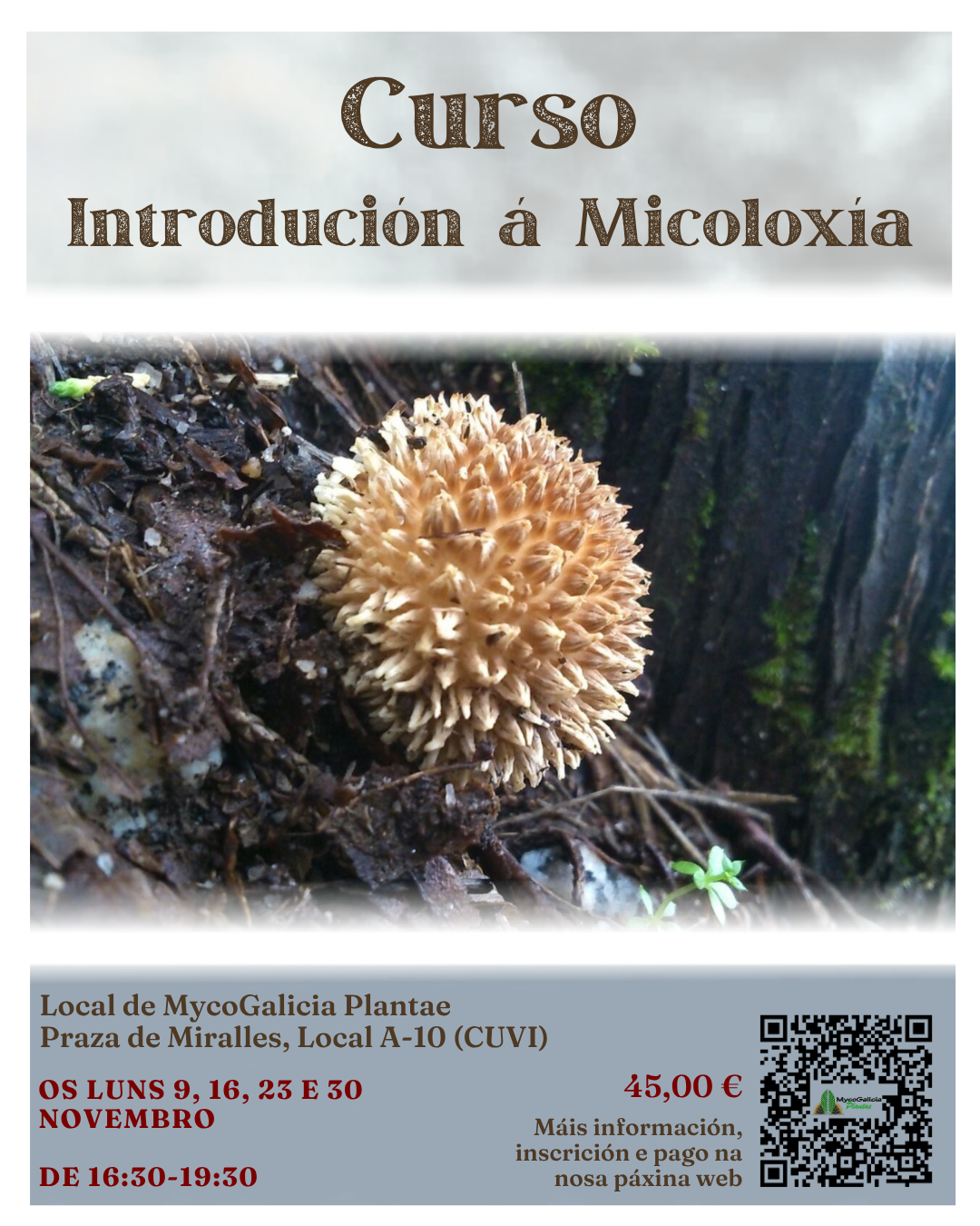 Curso de Introdución á Micoloxía