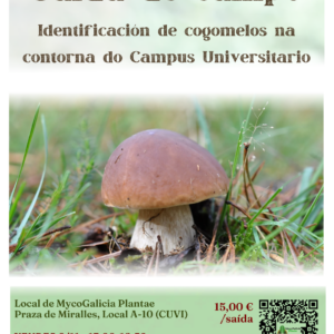 Saída de Campo: identificación de cogomelos